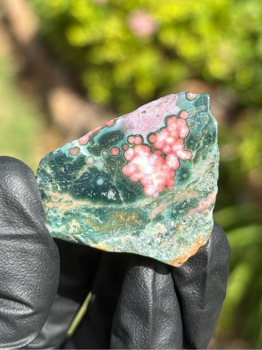 Ocean Jasper Crystal Freeform - Polished Sea Jasper - Orbicular Jasper